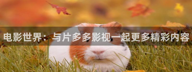 八戒影院1：电影世界：与片多多影视一起更多精彩内容