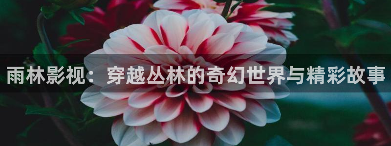 八戒影院观看：雨林影视：穿越丛林的奇幻世界与精彩故事